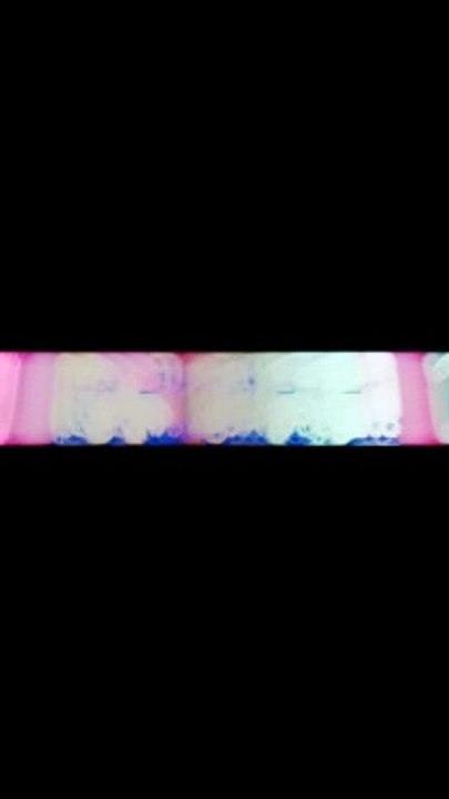 Islamic short video 
