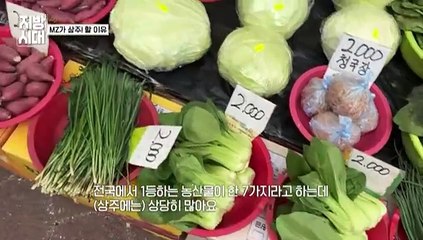 MZ가 상주! 할 이유 [리부팅 지방시대]