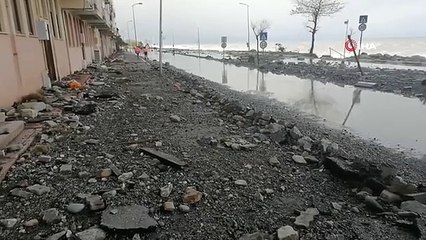 Saniyeler İçinde Gelen Dev Dalgalar Sahili Savaş Alanına Çevirdi