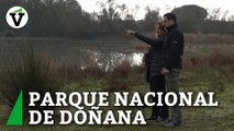 Juanma Moreno y Teresa Ribera visitan el Parque Nacional de Doñana