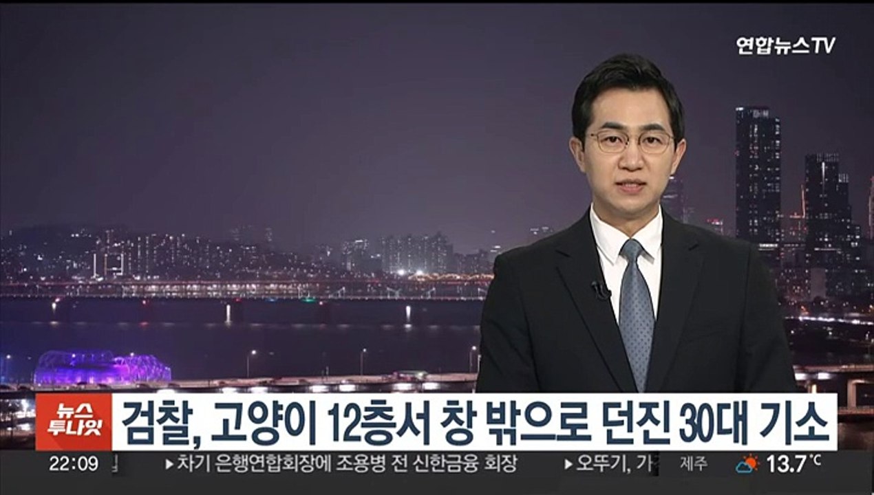 검찰, 키우던 고양이 12층서 창 밖으로 던진 30대 남성 기소