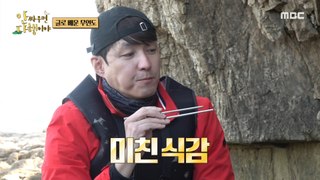 [HOT] Shim Hyung-tak’s first raw fish tasting!, 안싸우면 다행이야 231127