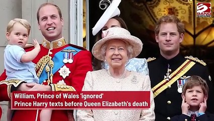 Download Video: Prince William accused of 'ignoring' Prince Harry texts before Queen Elizabeth's death