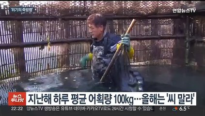 죽방렴에 멸치 씨가 말랐다…"30년 만에 처음"