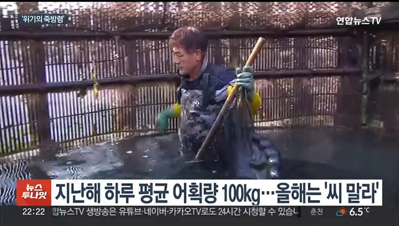 죽방렴에 멸치 씨가 말랐다…"30년 만에 처음"