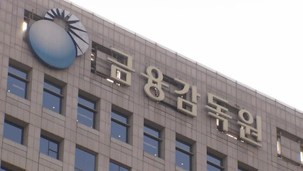 금감원, 홍콩 H지수 ELS 주요 판매사 전수 조사 / YTN