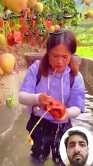 Farm Best Blackberry And Fig Fruit    #viral #shortvideo #trending