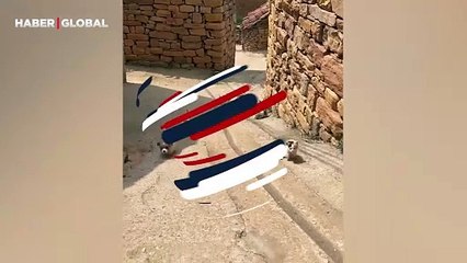Anne kedinin yavrularının arasında minik köpeğe de baktığı anlar yürekleri ısıttı