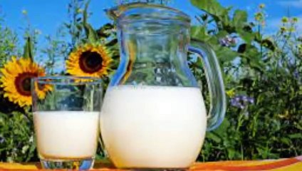 best imunity boosting foods in air pollution