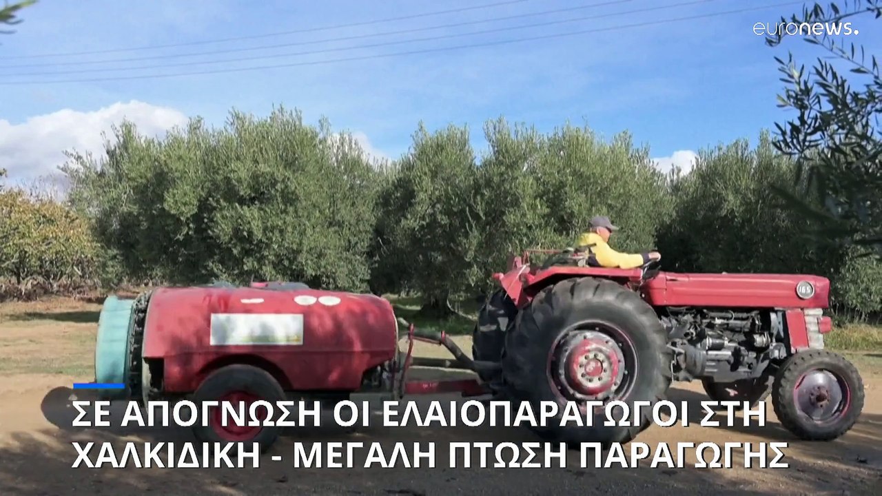 Πως η κλιματική αλλαγή επηρέασε την άνοδο στην τιμή του ελαιολάδου