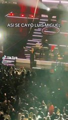 Luis Miguel caída durante concierto
