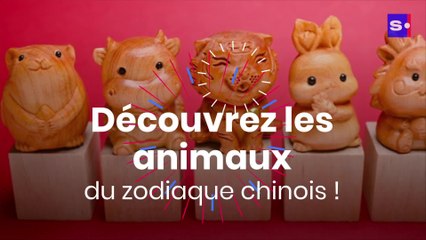 Horoscope chinois : découvrez votre animal astrologique