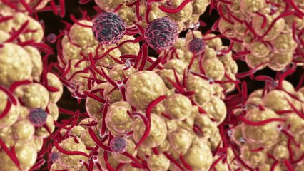 Tausende laufen Gefahr, sich durch normale Hygienemaßnahmen mit einem tödlichen Virus anzustecken