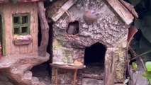 Man feeds the cute family of mouse living in his house's garden *Wholesome*