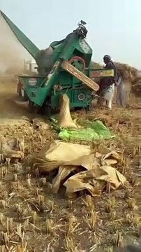 گندم کی طرح منجی کی گہائی والی مشین بھی آ گئی۔۔۔آپ نے اس طرح کی مشین پہلے کب اور کدھر دیکھی ہے ؟؟ Flour Mashine Amazing & new Technology