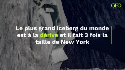 Le plus grand iceberg du monde, qui fait trois fois la taille de New York, est à la dérive