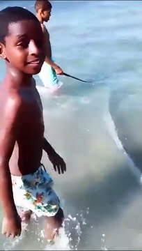 Pez que predice terremotos aparece en una playa de Montecristi