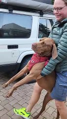 Donut Loves His Nonna