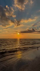  Faut que tu vois ça : Floride, USA 