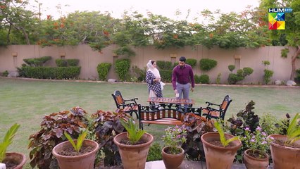 Rang Badlay Zindagi - Episode 31 - 27th November 2023 - [ Nawaal Saeed, Noor Hassan, Omer Shahzad ]