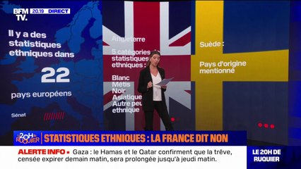 LES ÉCLAIREURS - Statistiques ethniques: que font nos voisins?