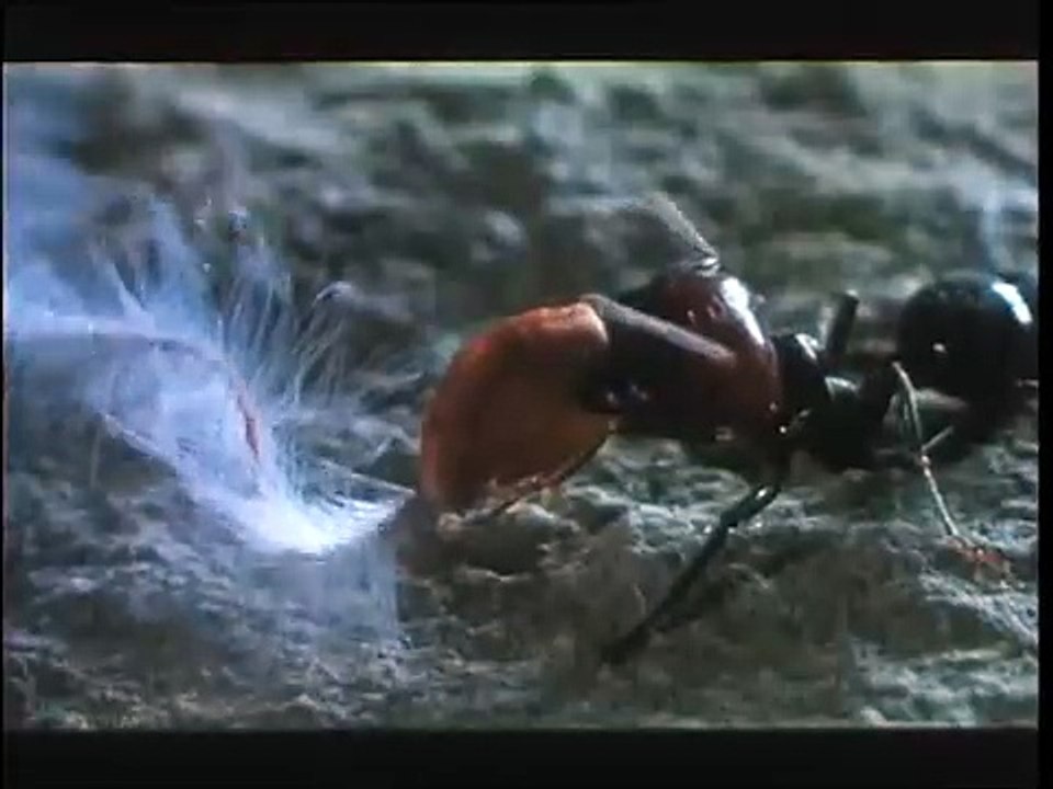 Microcosmos: Le peuple de l'herbe Bande-annonce (EN)