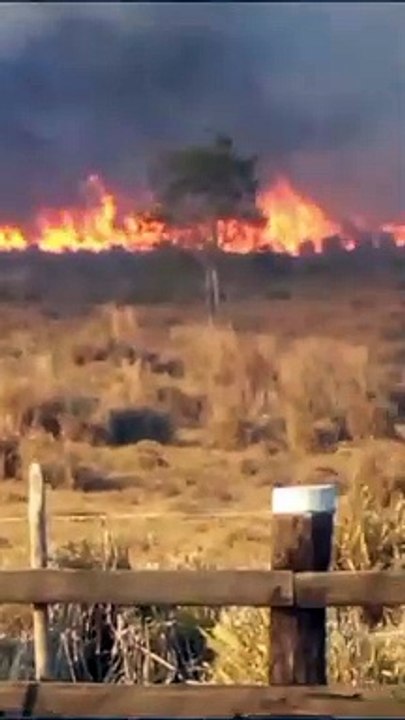 Incêndio toma conta em região de cidade do interior da Bahia; confira