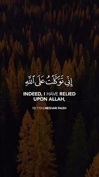 تلاوة هادئة تريح الاعصاب قران كريم بصوت جميل جدا جدا