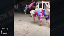Pijama giymiş bebek keçiler