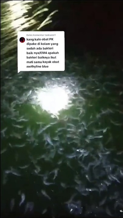 Jangan pernah menyatukan PROBIOTIK dengan ANTIBIOTIK