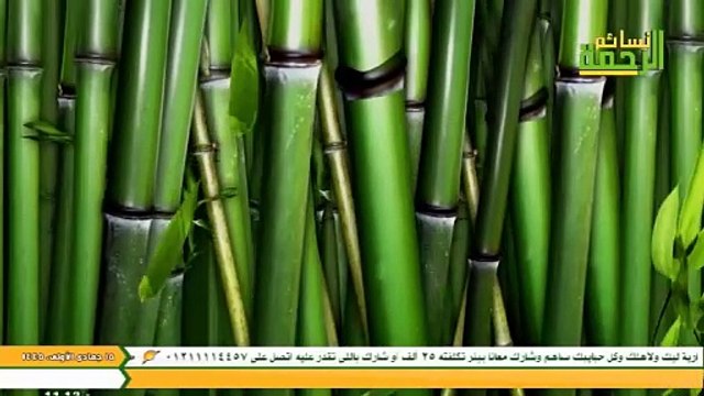 قناة الرحمة الفضائية