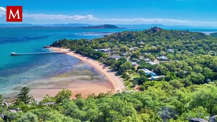 El Casuario: Encuentro épico con el ave más peligrosa del mundo