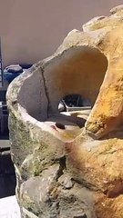 WOW Amazing Crafts | Amazing Creator #shorts #foryou #trending