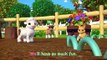 Play Outside at the Farm with Baby Animals - CoComelon Nursery Rhymes & Animal Songs