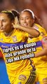 Tigres Femenil es el equipo MÁS GRANDE del futbol mexicano