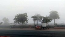 Weather Update: अजमेर में छाया घना कोहरा, सड़कें भी नहीं आईं नजर