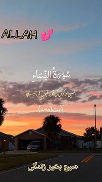 islamic videos #islamicvideo #islamicstatus #shortvideo #shorts #islamicshorts