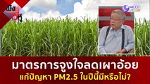 มาตรการจูงใจลดเผาอ้อย แก้ปัญหา PM2.5 มีหรือไม่? (24 พ.ย. 66) | ฟังหูไว้หู