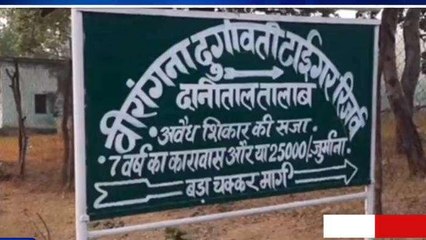 दमोह: जिले में बनने जा रहा देश का सबसे बड़ा टाईगर रिजर्व, एक क्लिक में जानें सबकुछ