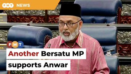 Another Bersatu MP declares support for Anwar
