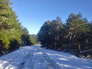 Kazdağı Milli Parkı'ndan kar manzaraları