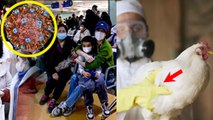 China New Virus H9N2 से India में कितना खतरा, क्या है H9N2 Symptoms और Precautions | WHO Alert