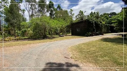À Découvrir : Villa F2 sur Terrain Arboré de 60 Ares à Ondémia - Nestenn Nouméa