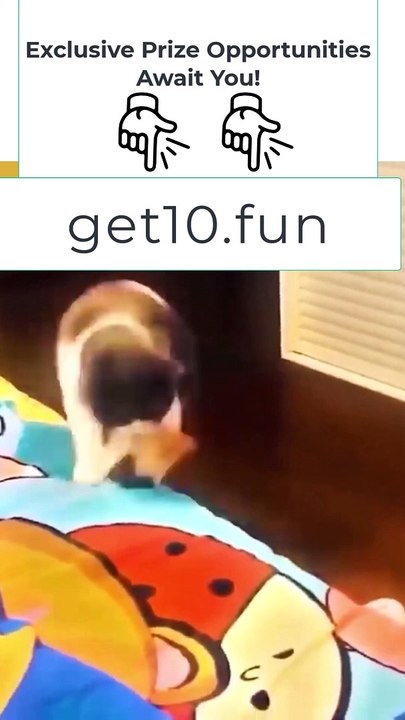 7 Funniest Animals  New Funny Cats and Dogs Videos 