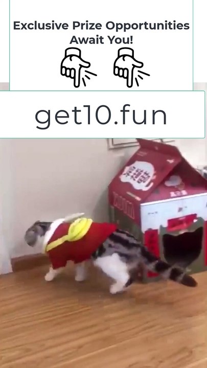 10 Funniest Animals  New Funny Cats and Dogs Videos 