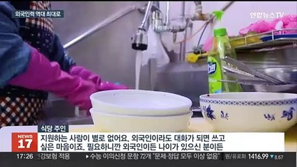 식당도 동남아 이모 취업…"부작용·비용 고려해야"