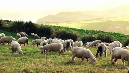 15 MYSTERIOUS Places Defying Science