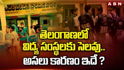 Holidays for educational institutions Ts || ABN