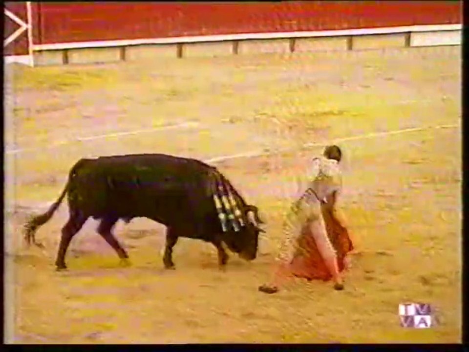 TARDE DE TOROS-EL JULI-DOMINGO LOPEZ CHAVES-ALBERTO RAMIREZ-LAGUNA DE DUERO-9 09 98