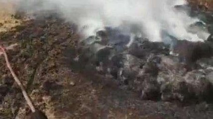 राजसमंद: बिजली का तार टूटकर गिरने से लगी आग, चारा जलकर राख